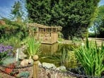 Pond Pond